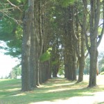 DSCN0791