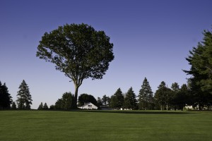 golfing in RI
